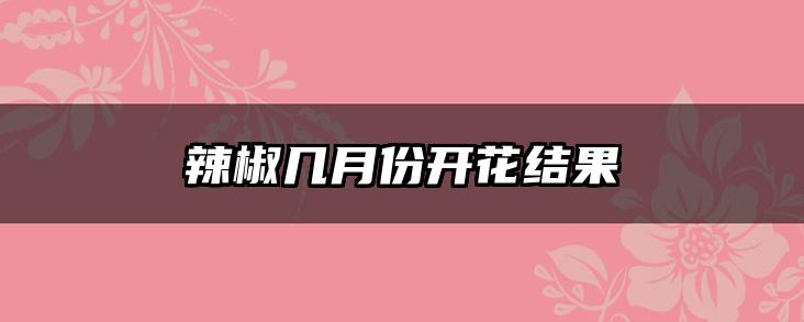 辣椒几月份开花结果