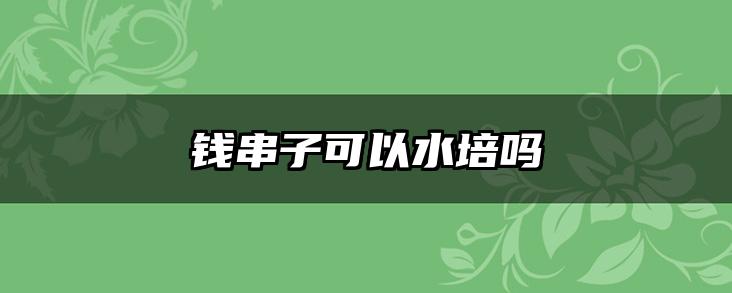 钱串子可以水培吗