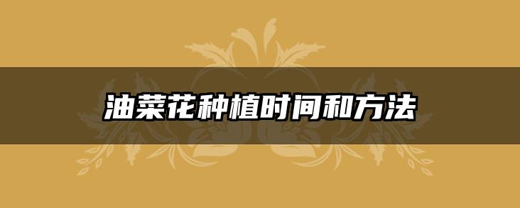 油菜花种植时间和方法