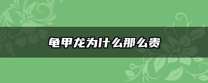龟甲龙为什么那么贵