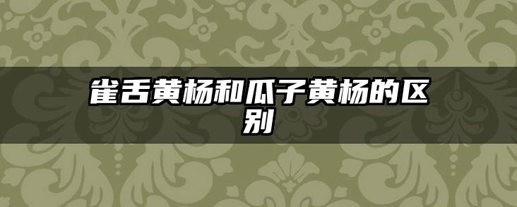 雀舌黄杨和瓜子黄杨的区别
