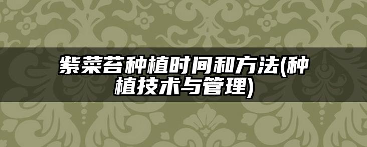 紫菜苔种植时间和方法(种植技术与管理)