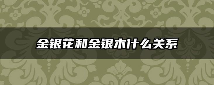 金银花和金银木什么关系
