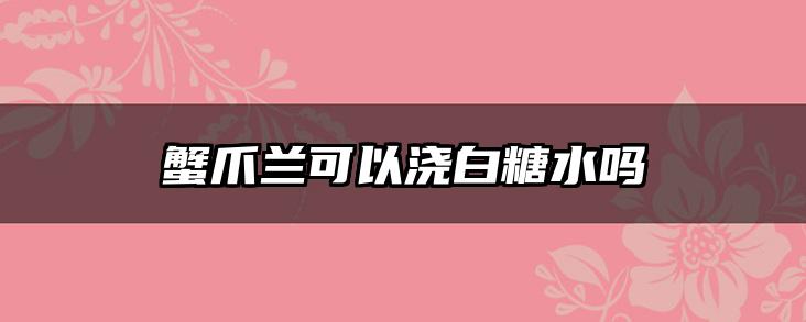 蟹爪兰可以浇白糖水吗