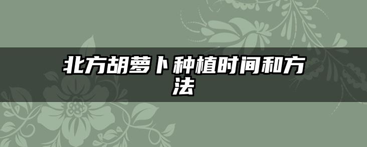 北方胡萝卜种植时间和方法