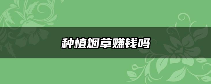 种植烟草赚钱吗