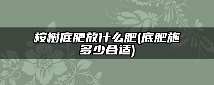 桉树底肥放什么肥(底肥施多少合适)
