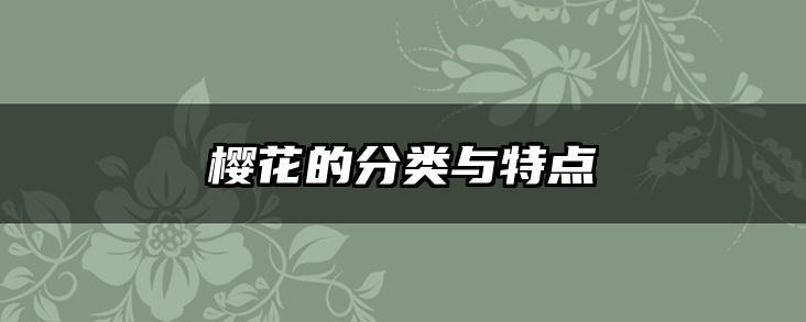 樱花的分类与特点