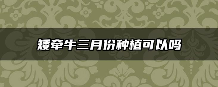 矮牵牛三月份种植可以吗