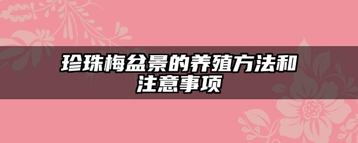 珍珠梅盆景的养殖方法和注意事项