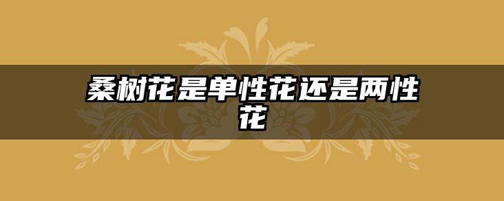 桑树花是单性花还是两性花