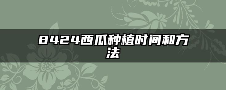 8424西瓜种植时间和方法