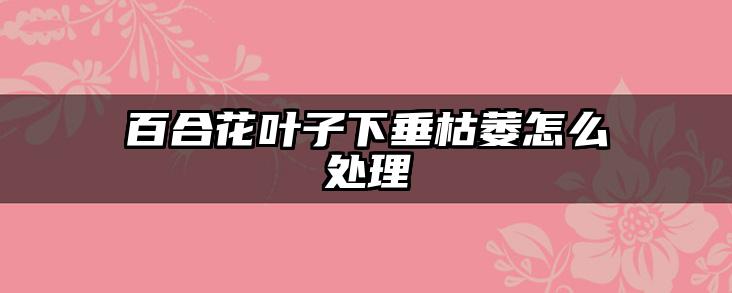 百合花叶子下垂枯萎怎么处理