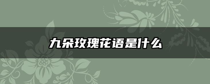 九朵玫瑰花语是什么