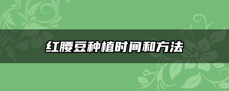 红腰豆种植时间和方法