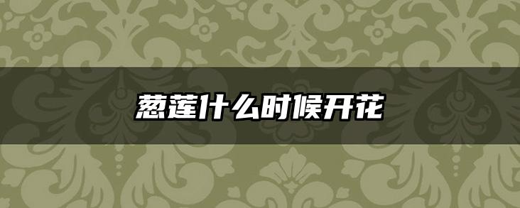 葱莲什么时候开花