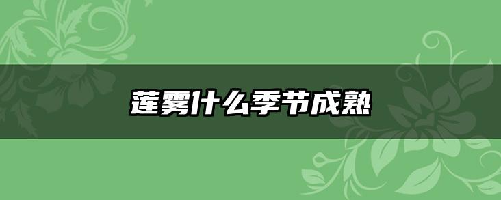 莲雾什么季节成熟