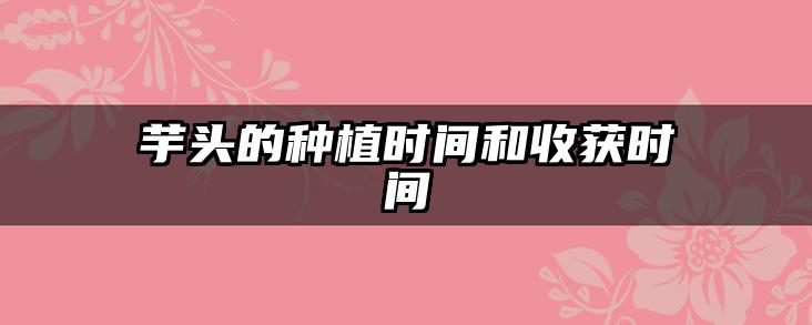 芋头的种植时间和收获时间