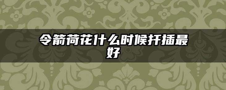 令箭荷花什么时候扦插最好