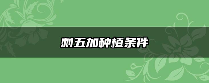 刺五加种植条件