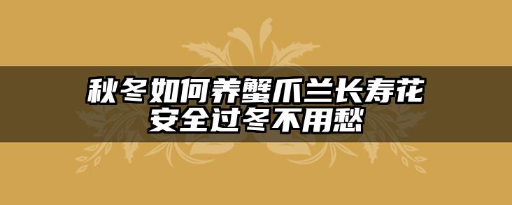 秋冬如何养蟹爪兰长寿花安全过冬不用愁