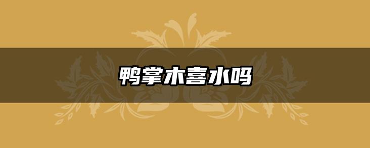 鸭掌木喜水吗