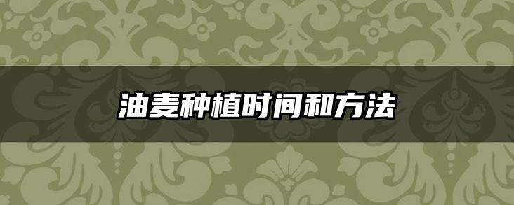 油麦种植时间和方法