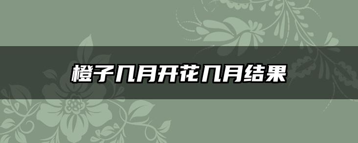 橙子几月开花几月结果