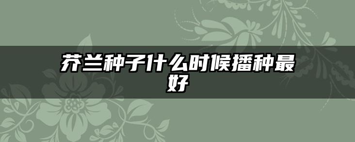 芥兰种子什么时候播种最好