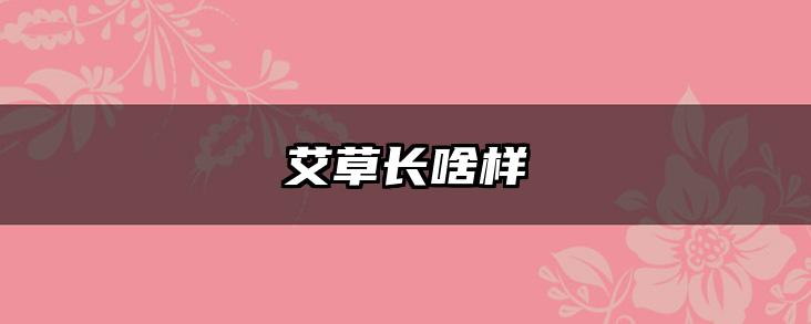 艾草长啥样