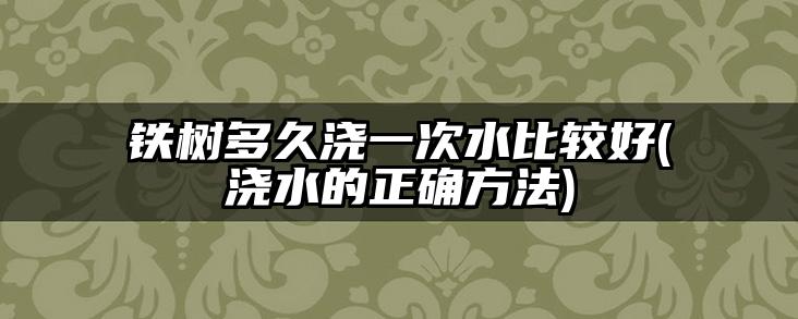 铁树多久浇一次水比较好(浇水的正确方法)