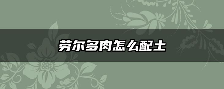 劳尔多肉怎么配土