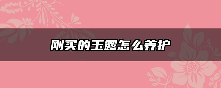 刚买的玉露怎么养护