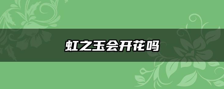 虹之玉会开花吗