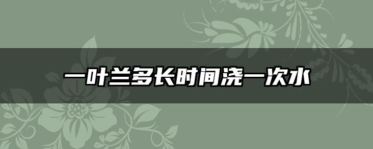 一叶兰多长时间浇一次水