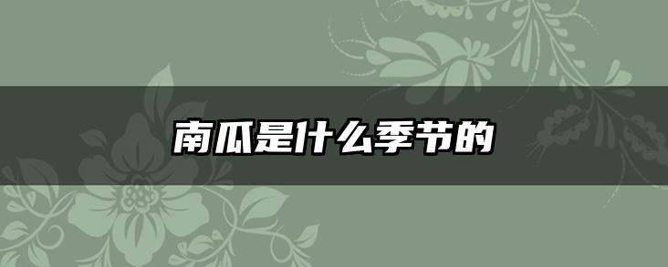 南瓜是什么季节的