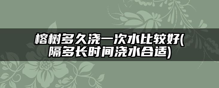 榕树多久浇一次水比较好(隔多长时间浇水合适)