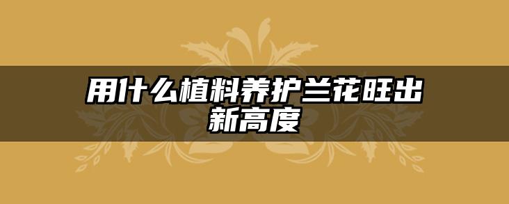 用什么植料养护兰花旺出新高度