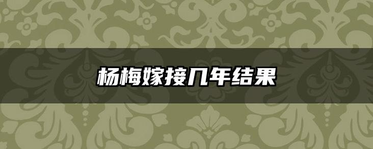 杨梅嫁接几年结果