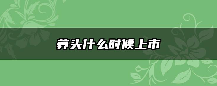 荞头什么时候上市