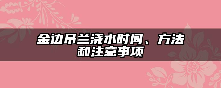 金边吊兰浇水时间、方法和注意事项