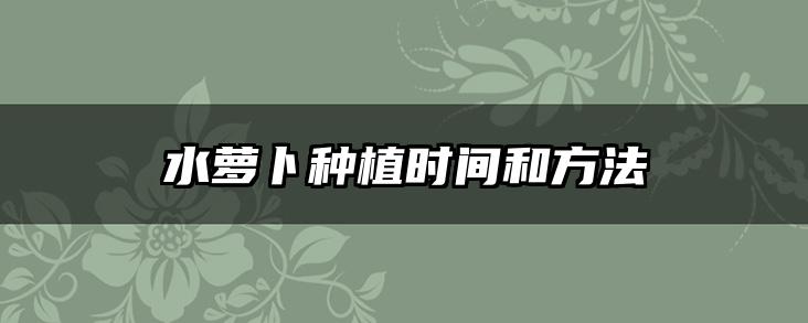 水萝卜种植时间和方法