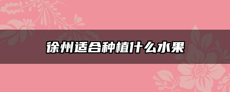 徐州适合种植什么水果
