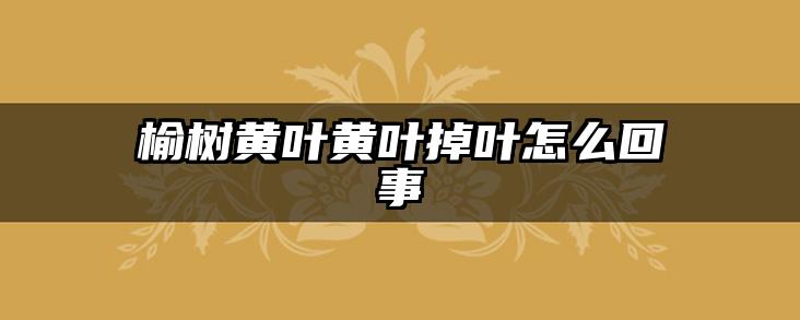 榆树黄叶黄叶掉叶怎么回事