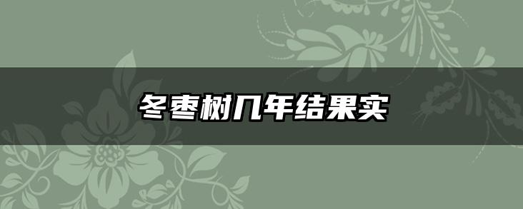 冬枣树几年结果实