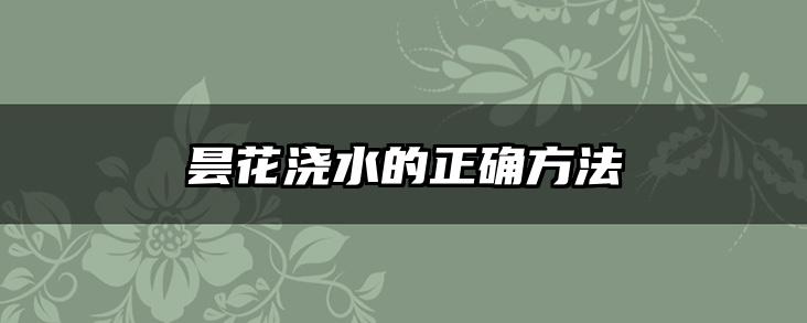 昙花浇水的正确方法