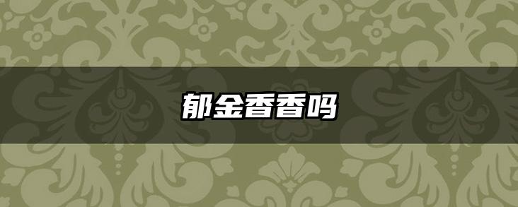 郁金香香吗