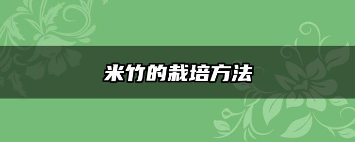 米竹的栽培方法