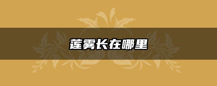 莲雾长在哪里