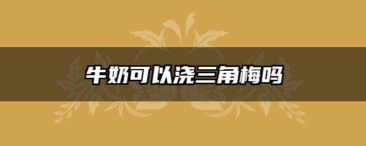 牛奶可以浇三角梅吗